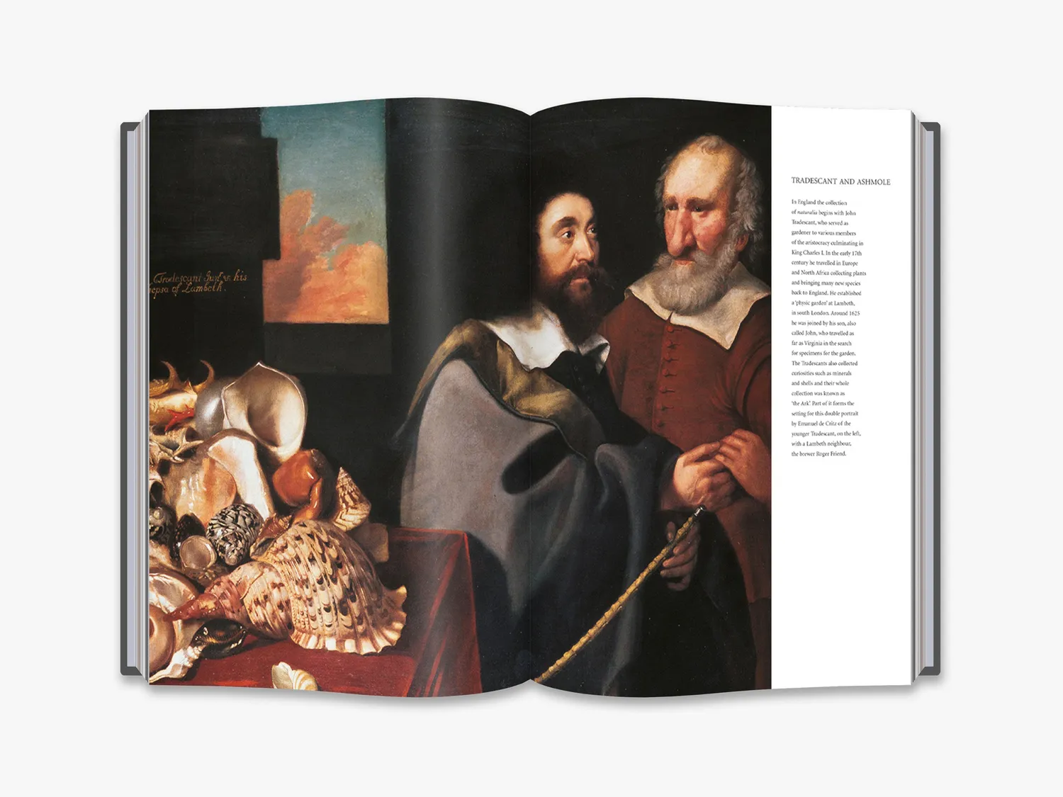 Thames & Hudson Cabinets of Curiosities bog illustreret historie