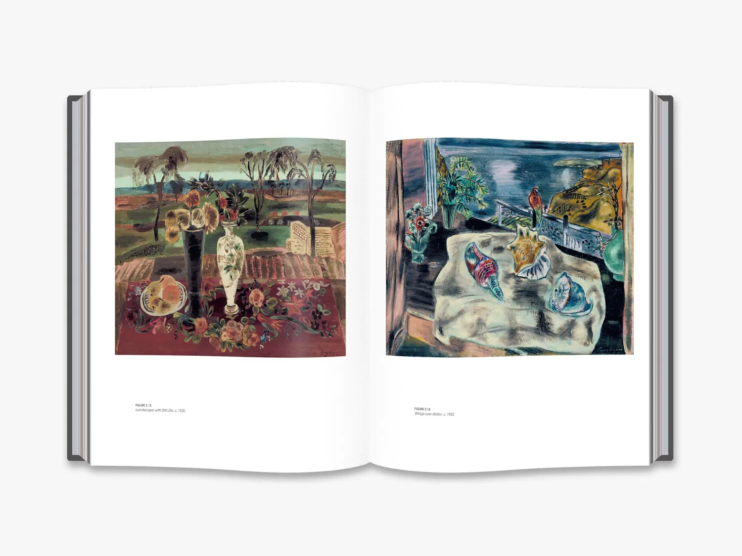 Thames & Hudson Frances Hodgkins bog European Journeys