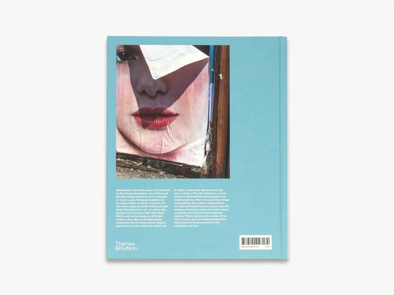 Thames & Hudson Anastasia Samoylova Adaptation fotobog illustreret