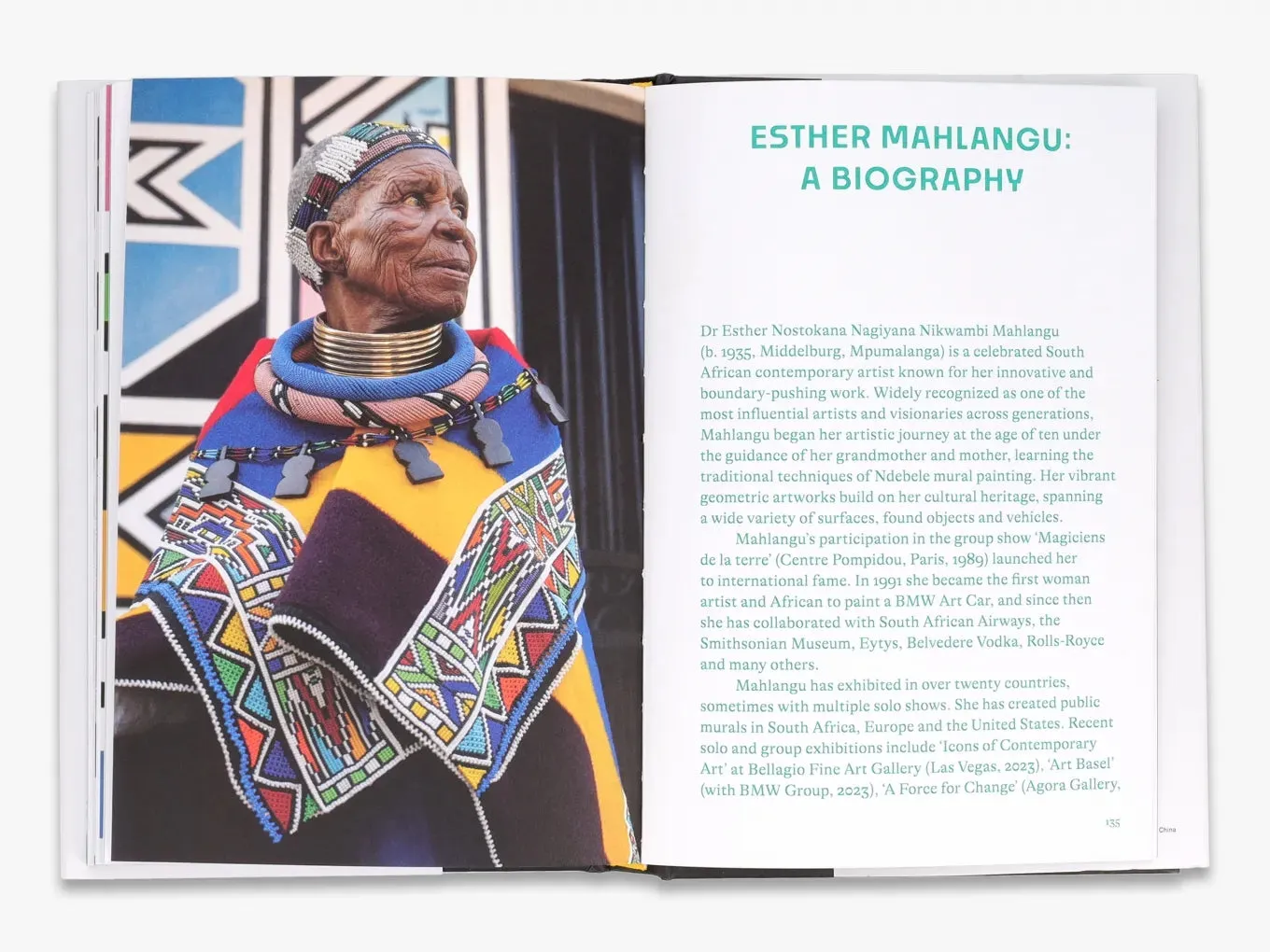 Thames & Hudson Esther Mahlangu kunstbog Ndebele