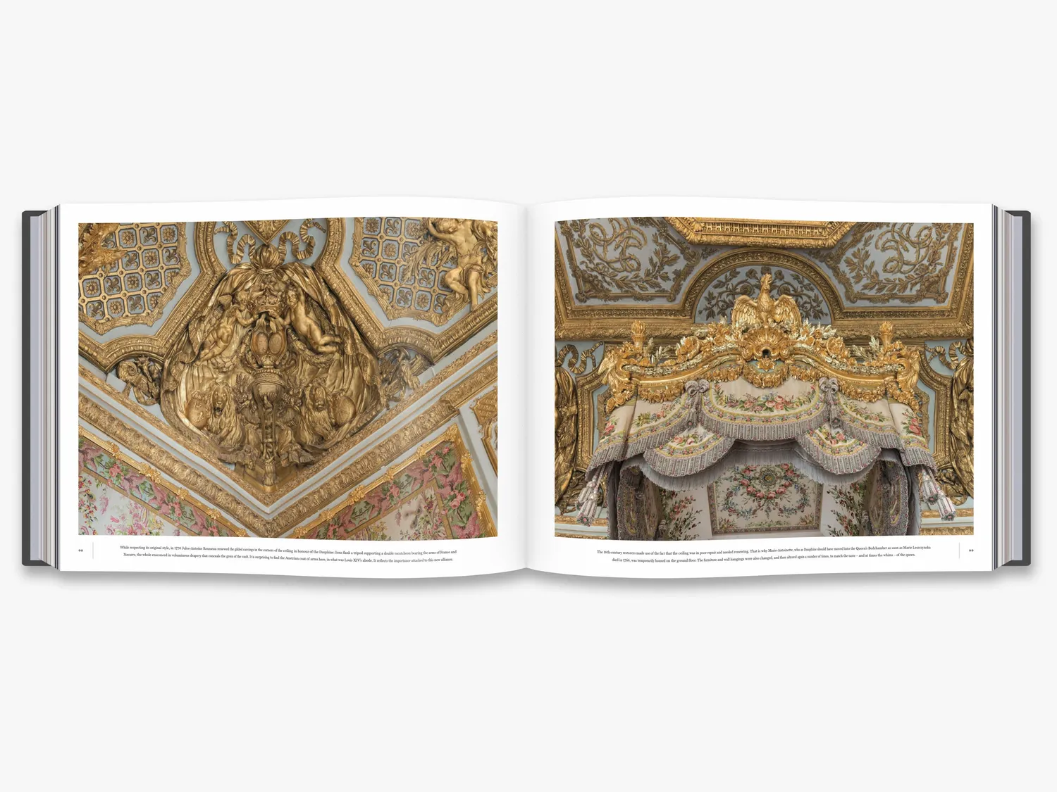 Thames & Hudson Versailles bog fotografier slot