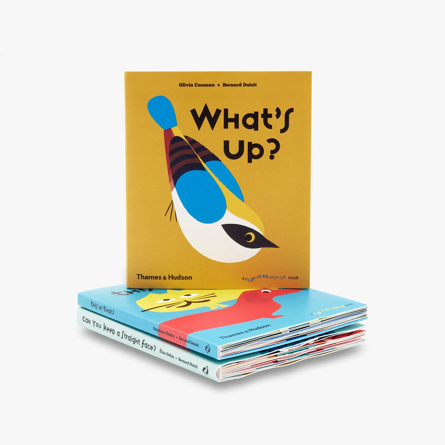 Thames & Hudson What's Up flip flap pop-op børnebog