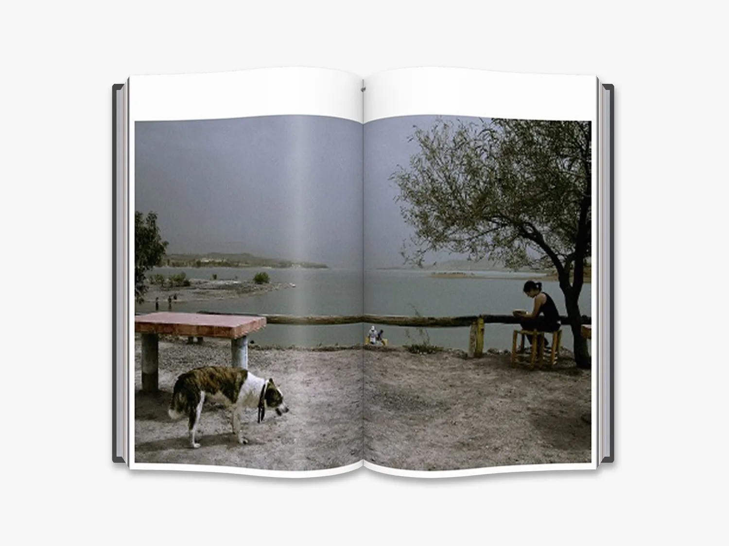 Thames & Hudson Harry Gruyaert Edges fotobog