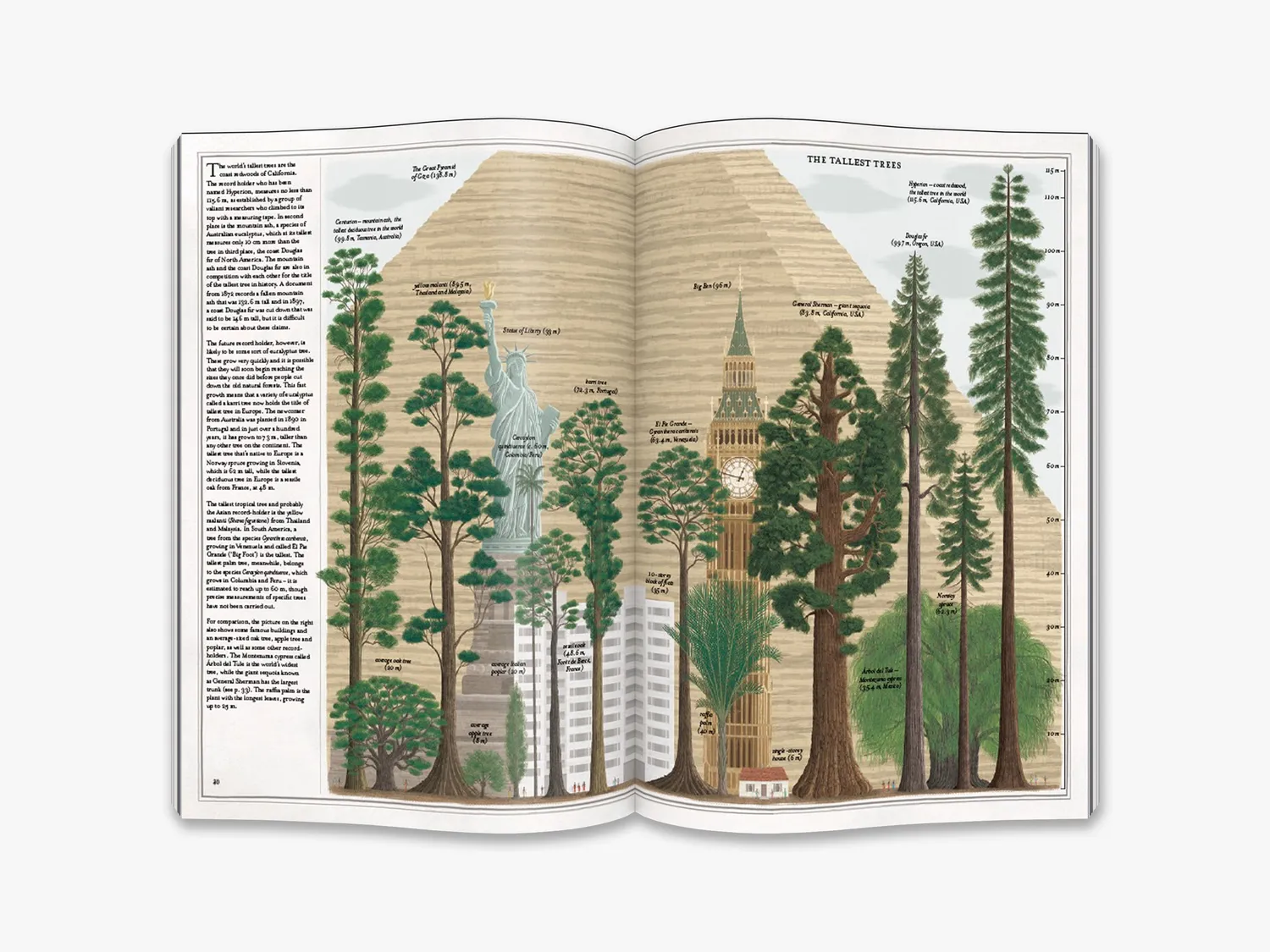 Thames & Hudson The Book of Trees børnebog natur