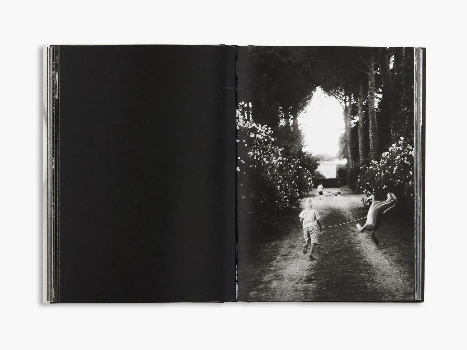 Thames & Hudson Susie bog – Nick Cave fotobog