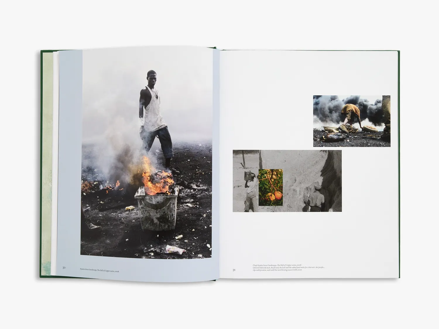Thames & Hudson Black Earth Rising bog samtidskunst klima