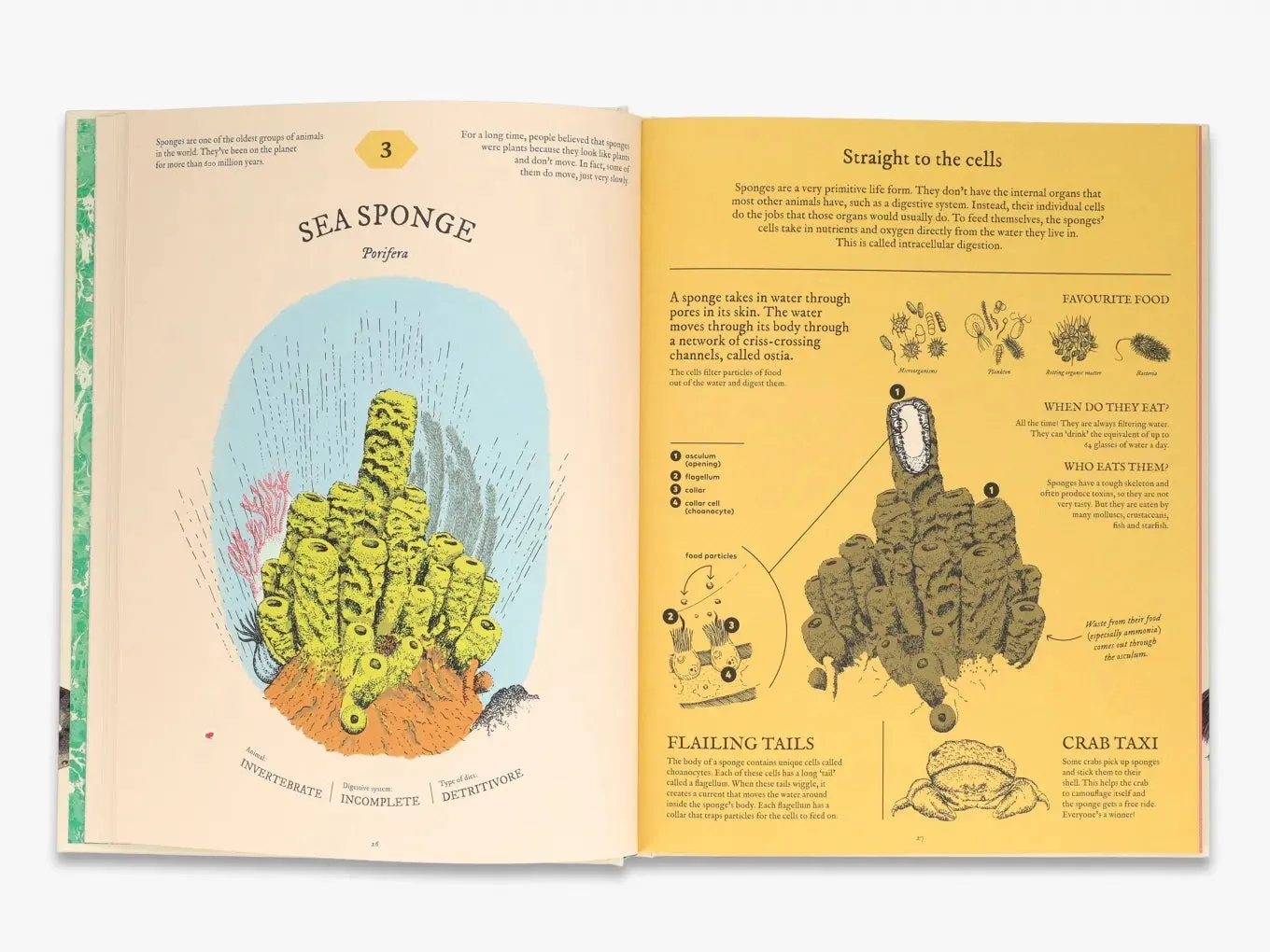 Thames & Hudson Eatopedia Aina Bestard børnebog fordøjelse