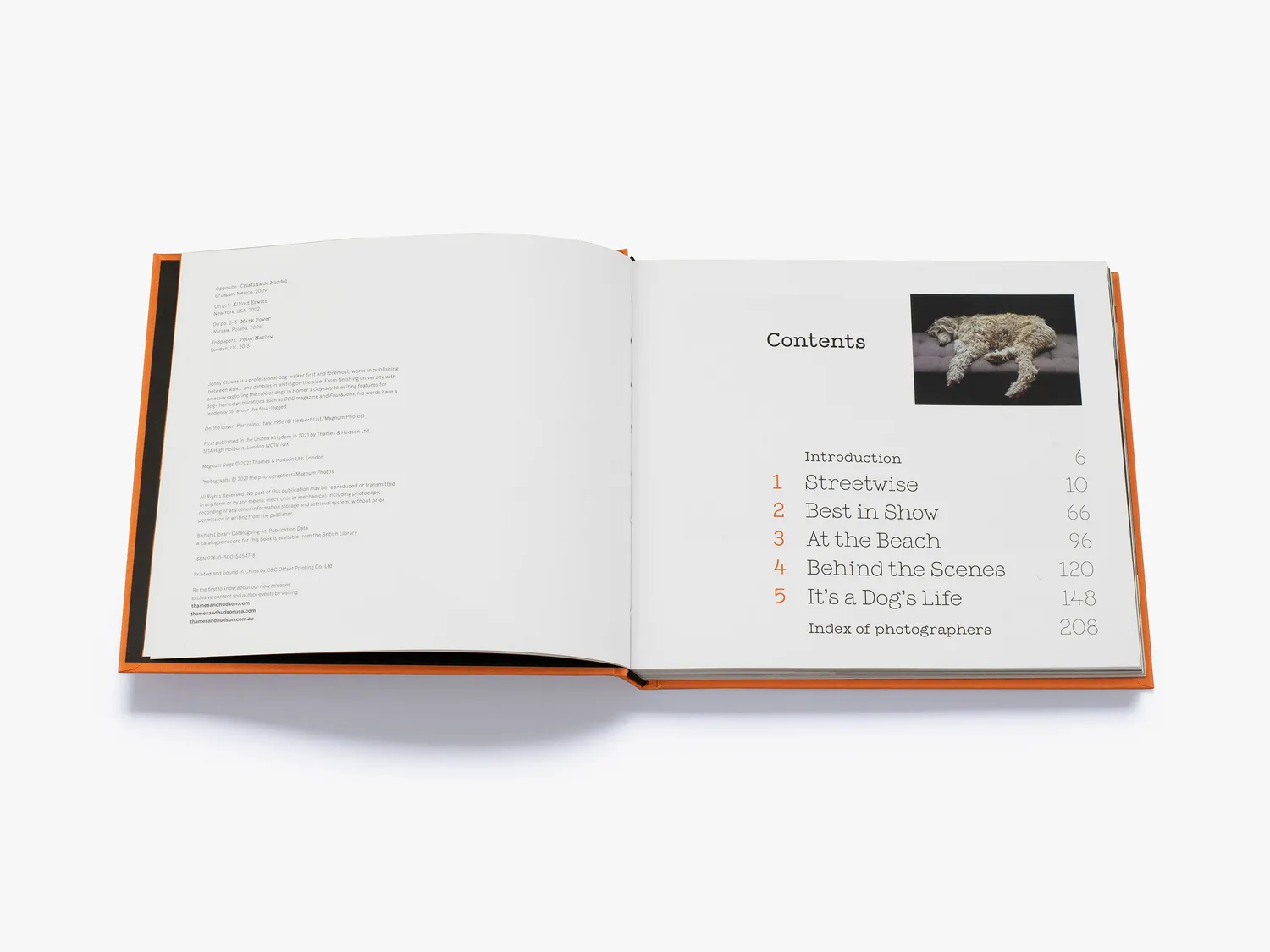 Thames & Hudson Magnum Dogs fotobog hundebilleder