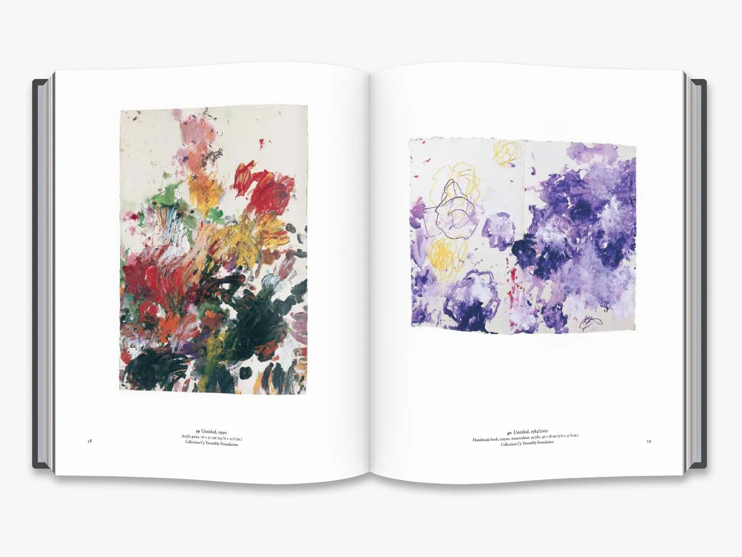 Thames & Hudson The Essential Cy Twombly bog monografi