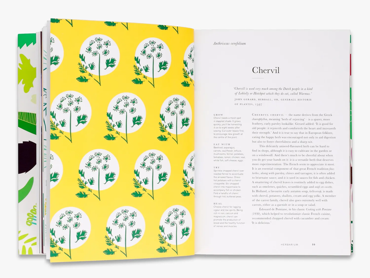 Thames & Hudson Herbarium bog om 100 urter