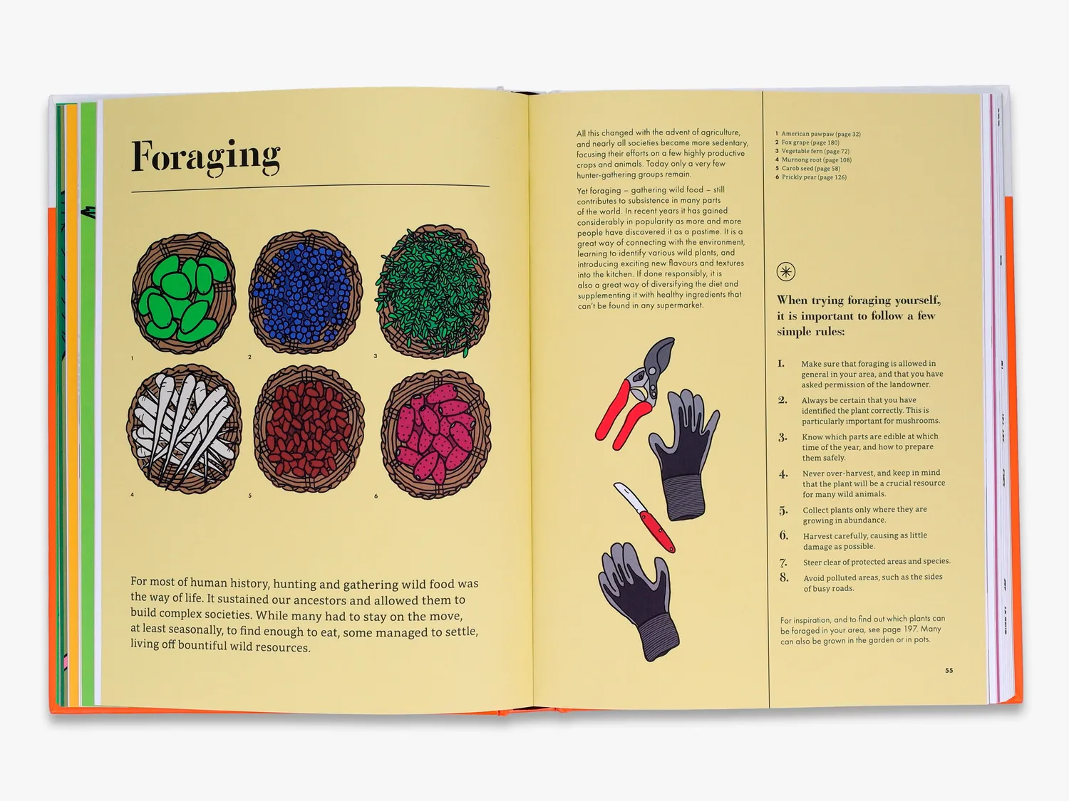 Thames & Hudson Edible bog spiselige planter