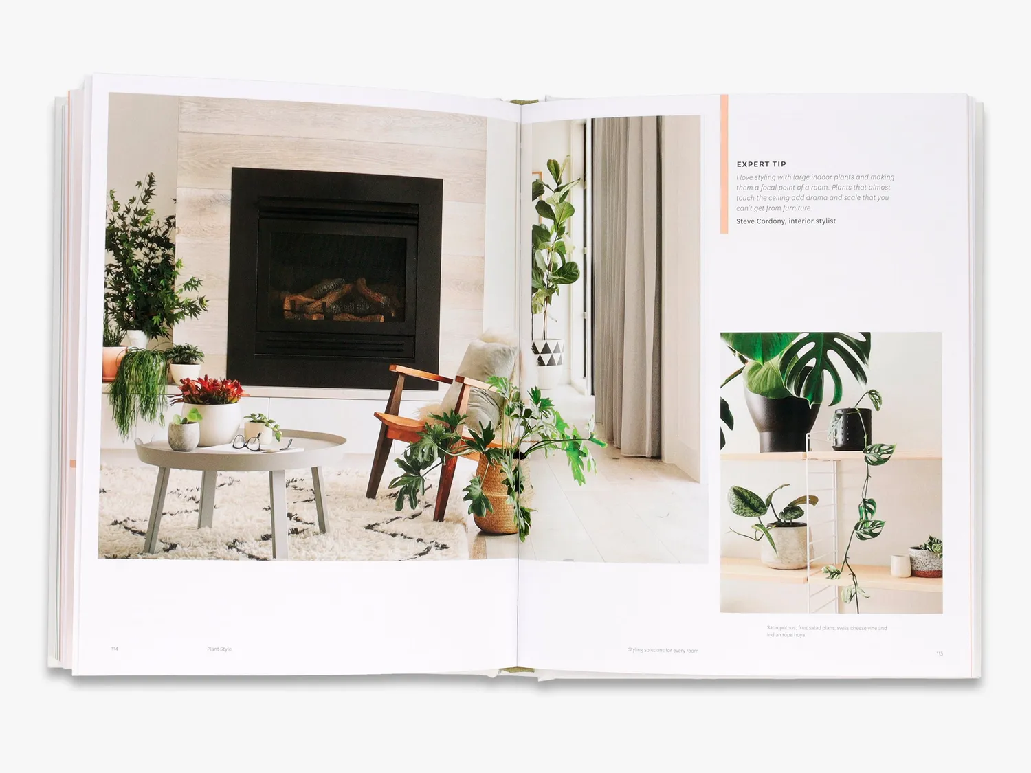 Thames & Hudson Plant Style bog indretning med planter
