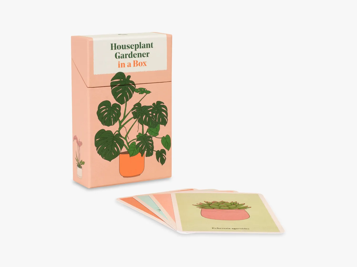 Thames & Hudson Houseplant Gardener in a Box kortbox
