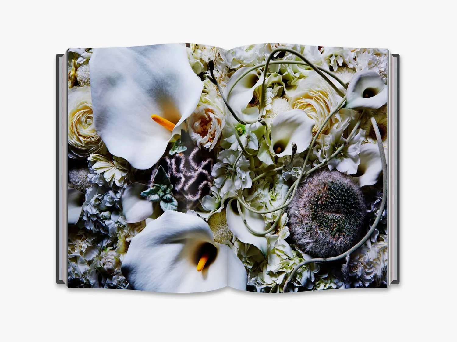 Thames & Hudson Flora Magnifica fotobog – blomster i årstider