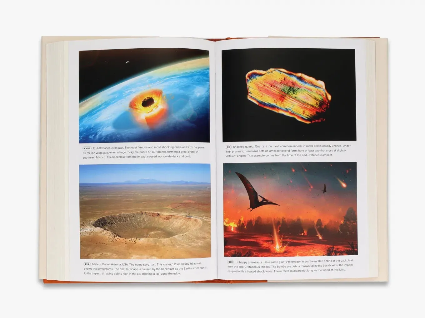 Thames & Hudson Extinctions naturhistorie fagbog