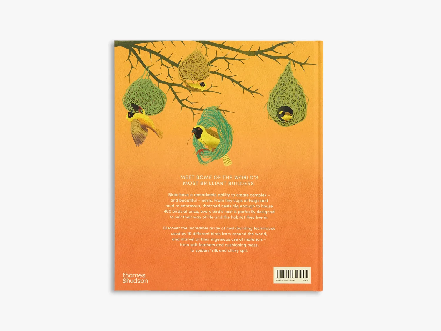 Thames & Hudson Secret World Bird Nests børnebog illustreret