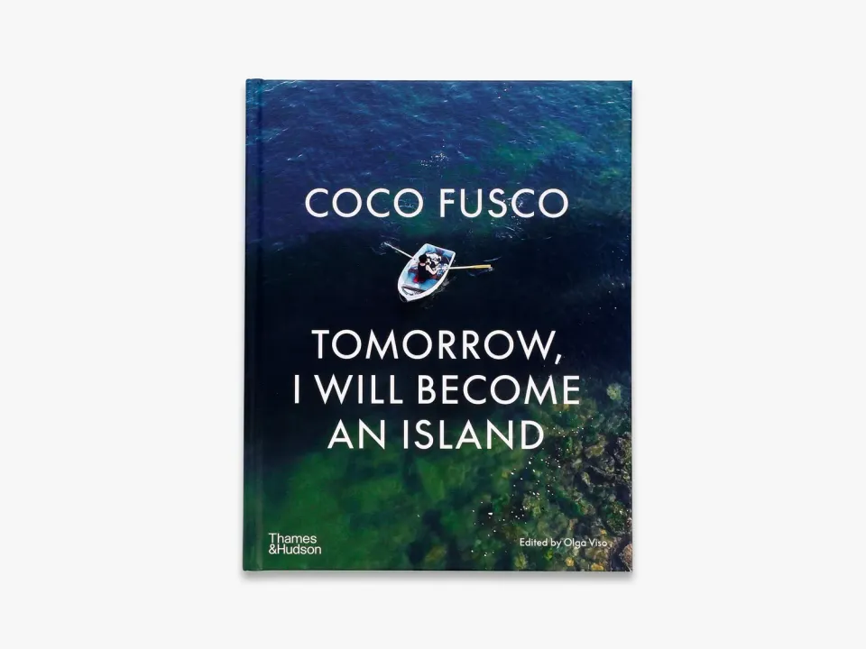 Thames & Hudson Coco Fusco bog om samtidskunst