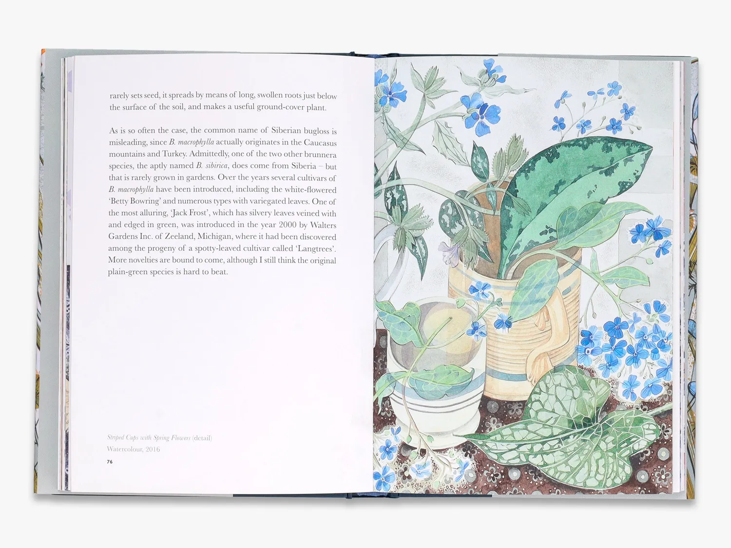 Thames & Hudson The Book of Garden Flowers bog illustreret