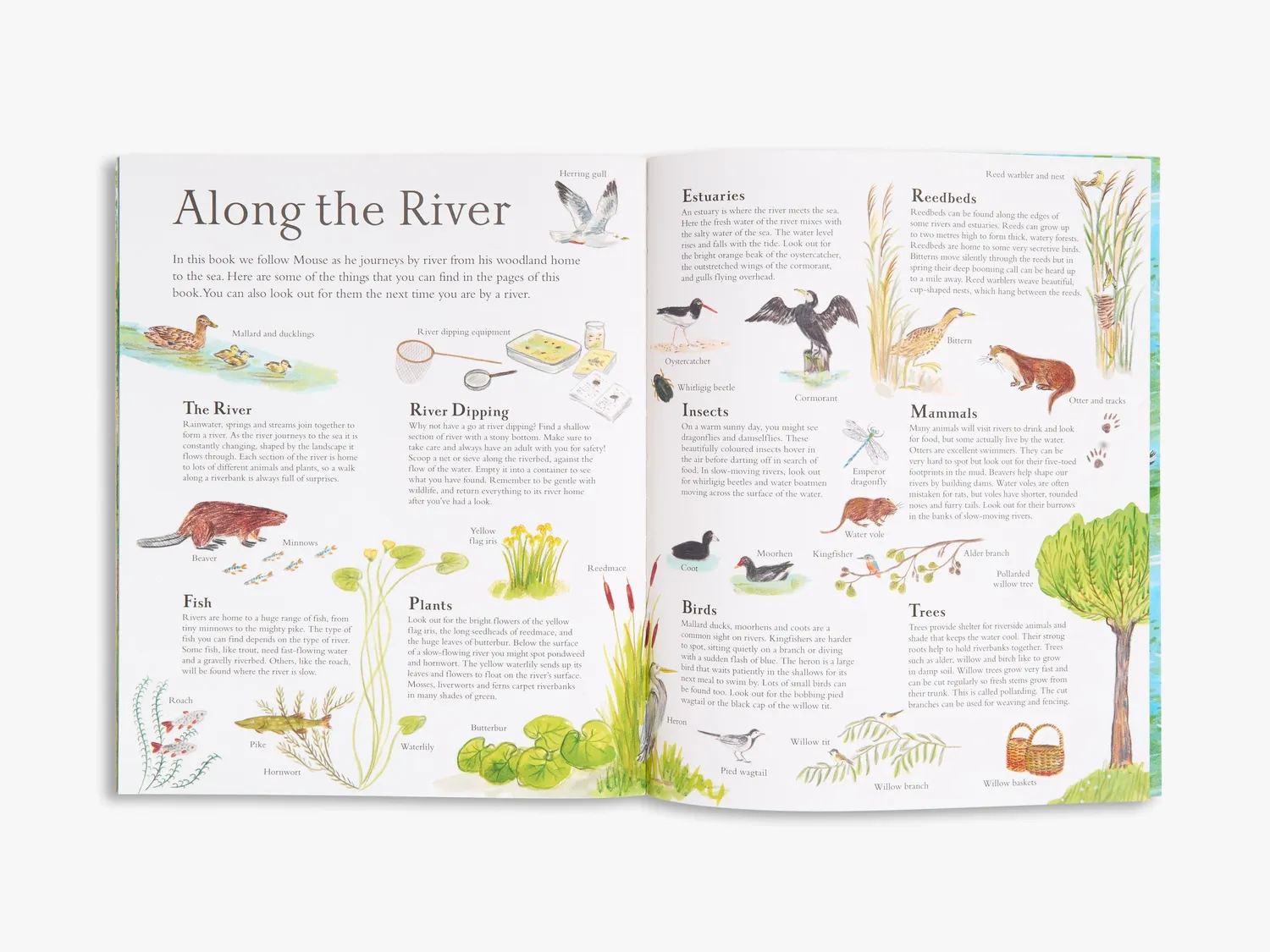 Thames & Hudson Mouse on the River billedbog Alice Melvin