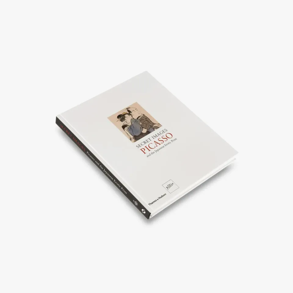 Thames & Hudson Secret Images bog Picasso erotik