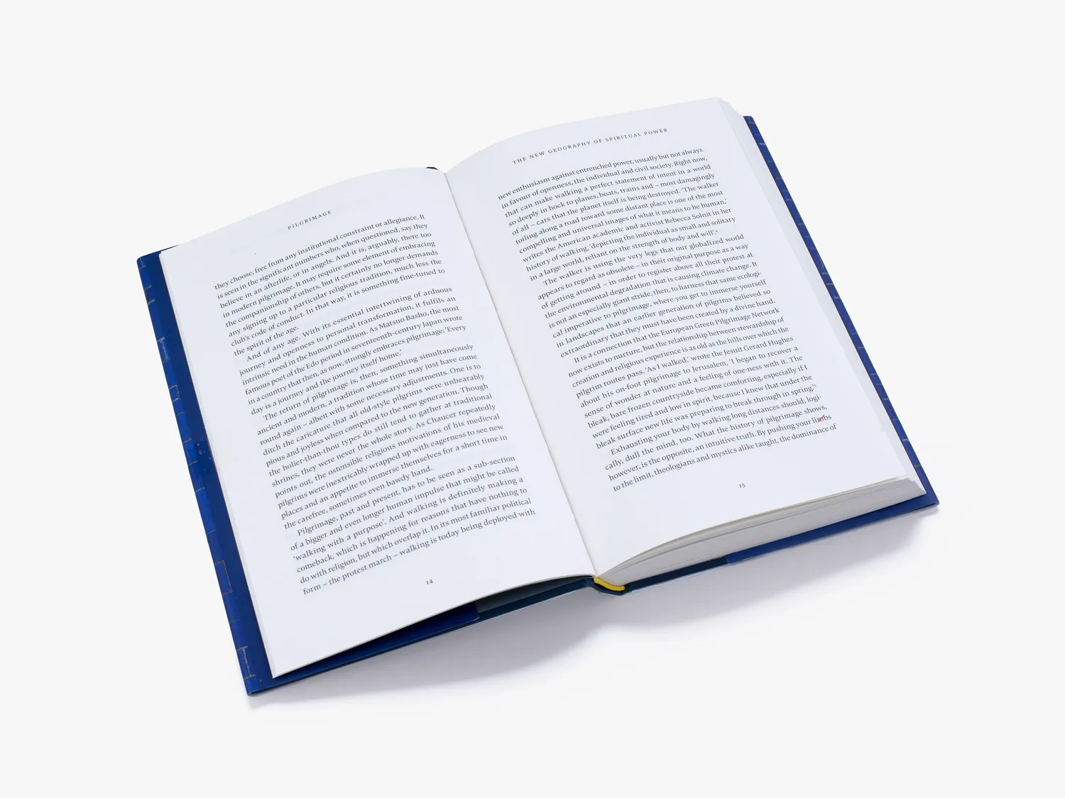 Thames & Hudson Pilgrimage bog Peter Stanford historie