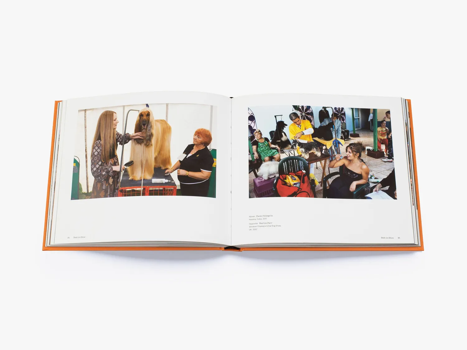 Thames & Hudson Magnum Dogs fotobog hundebilleder