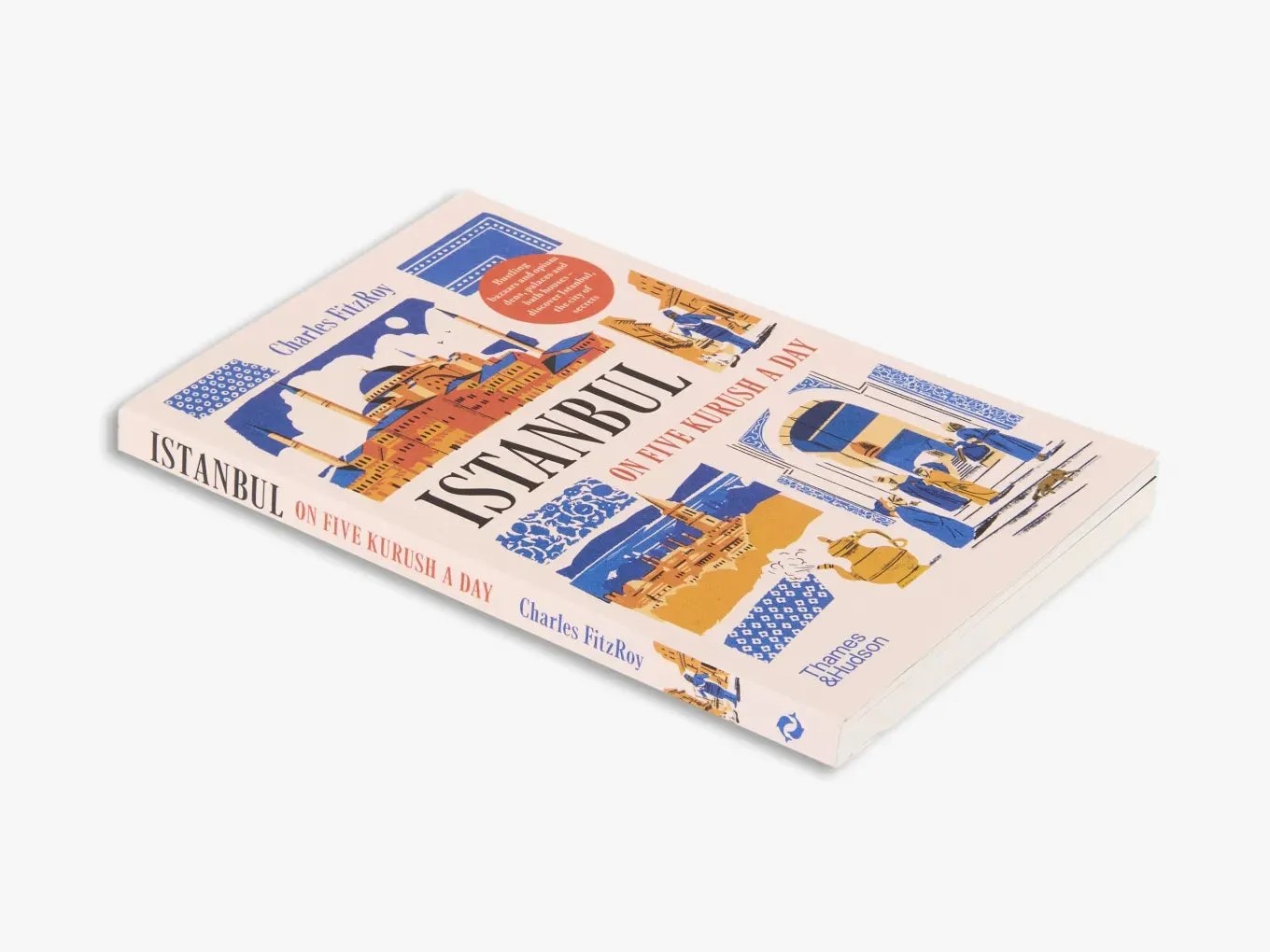Thames & Hudson Istanbul on Five Kurush bog – guide