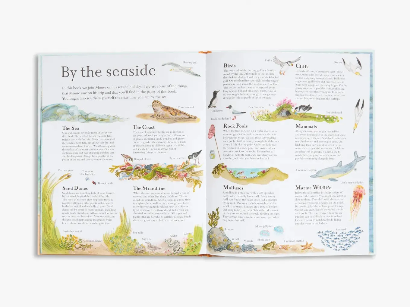 Thames & Hudson Mouse by the Sea billedbog børnebog