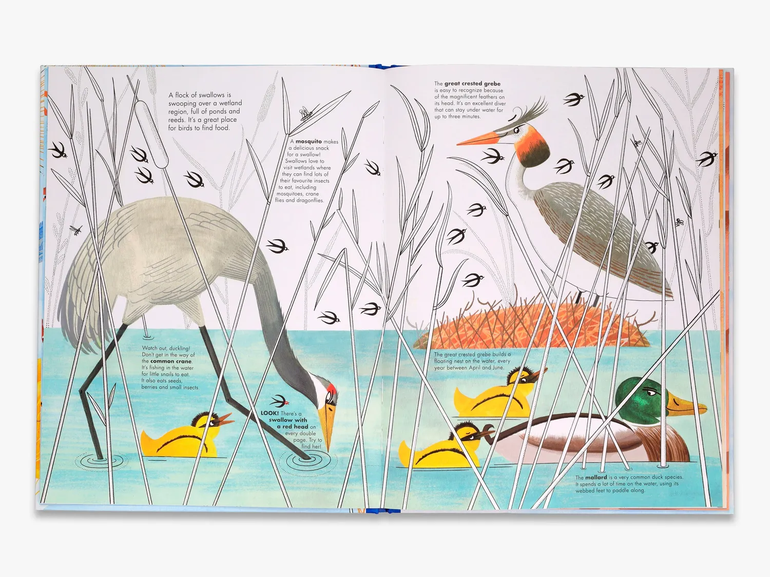 Thames & Hudson 1001 Birds børnebog fugle