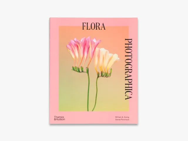Thames & Hudson Flora Photographica fotobog blomster illustreret