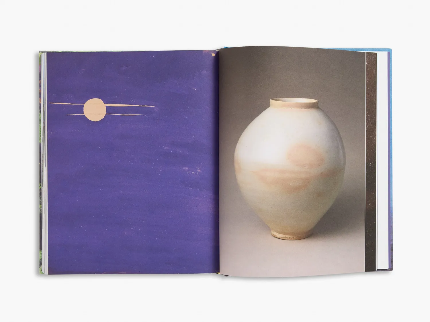 Thames & Hudson Slow Looking bog om kunst og natur
