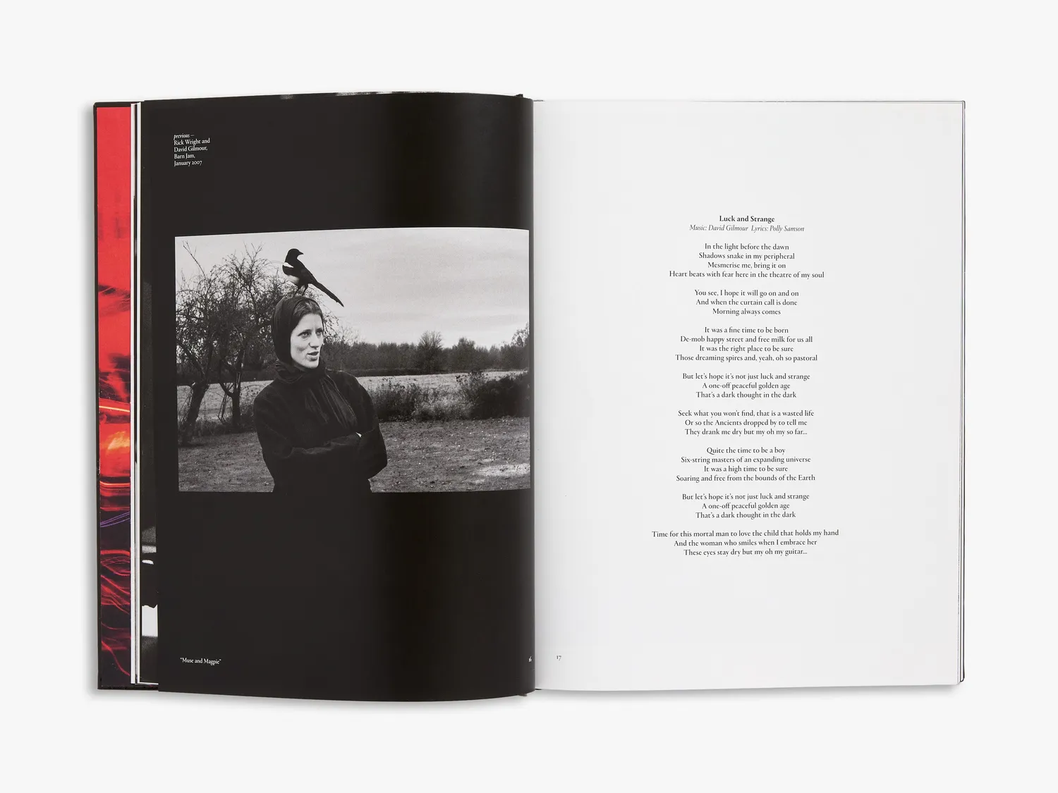 Thames & Hudson David Gilmour Luck and Strange fotobog