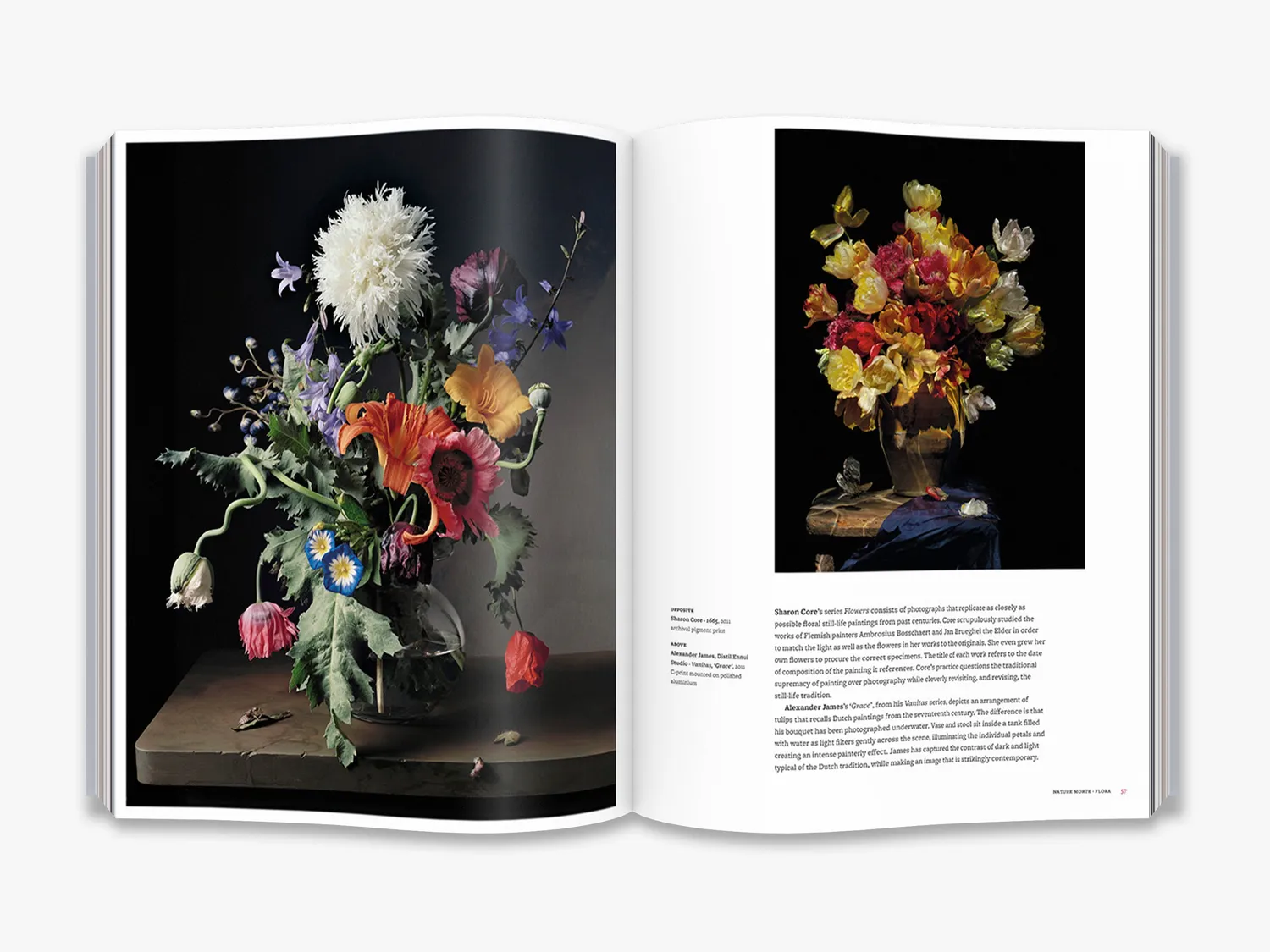 Thames & Hudson Nature Morte kunstbog stilleben