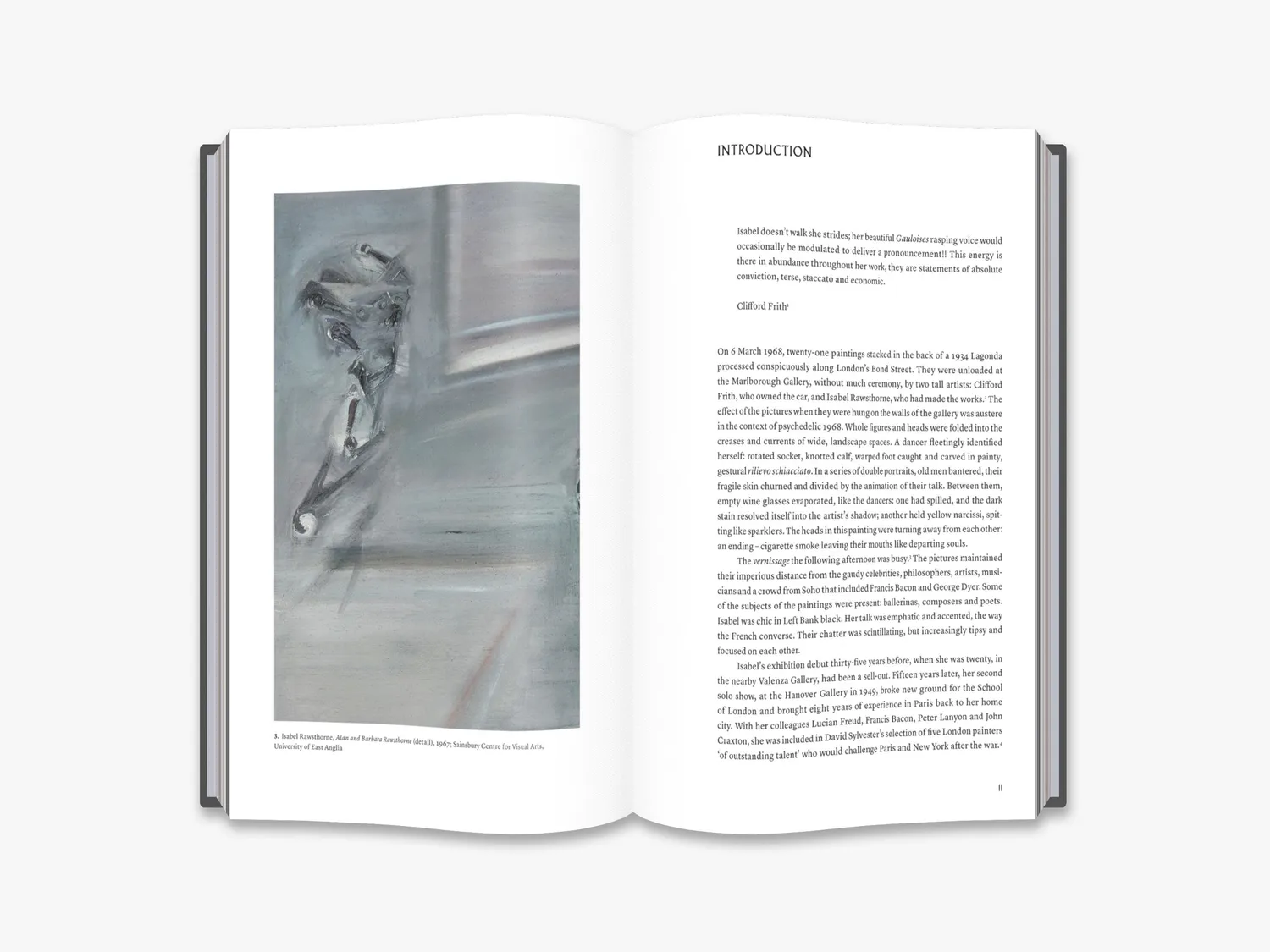 Thames & Hudson Out of the Cage: The Art of Isabel Rawsthorne bog