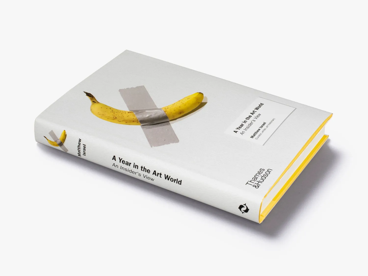 Thames & Hudson A Year in the Art World bog kunstverden