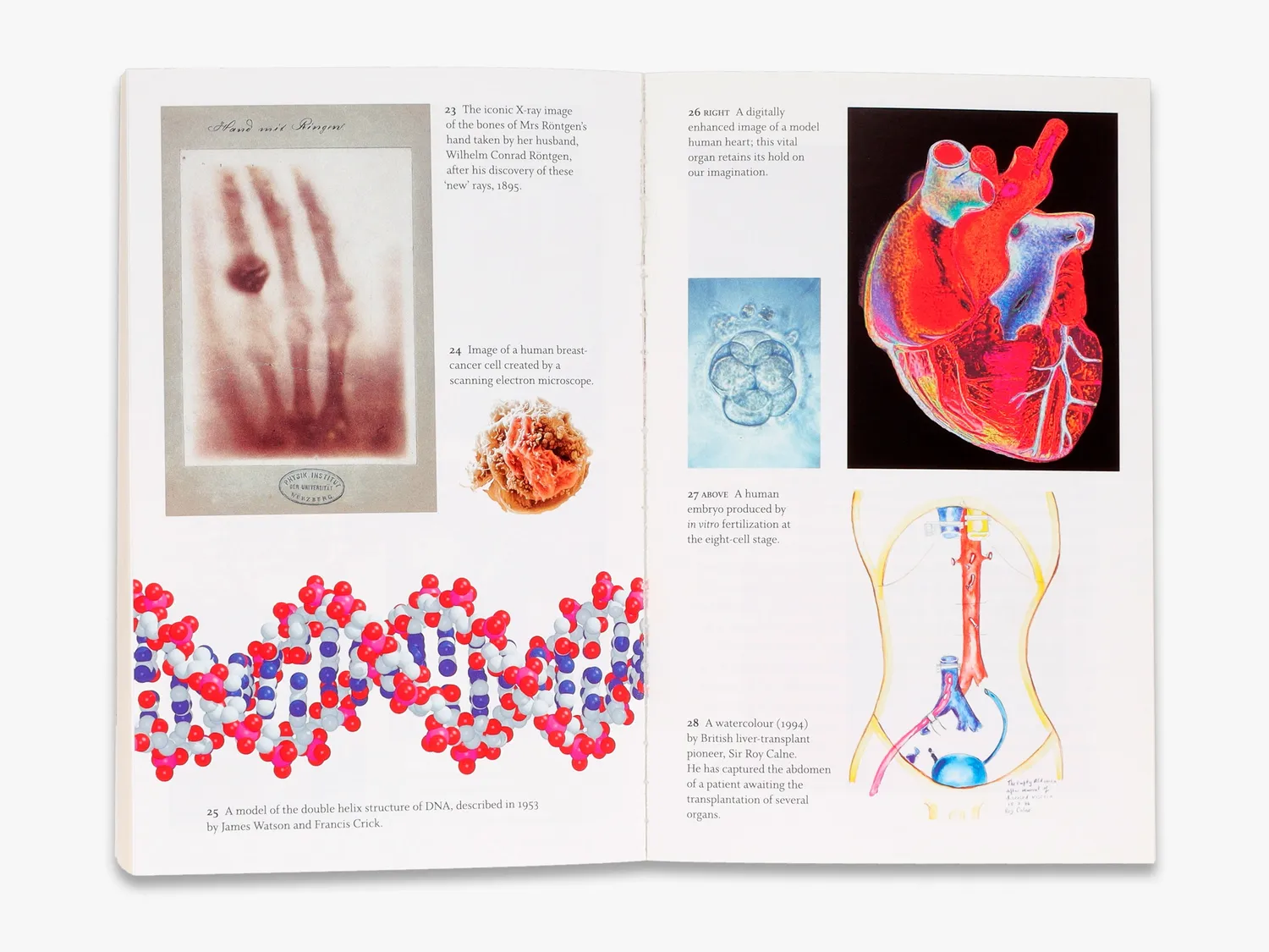Thames & Hudson Great Discoveries in Medicine bog medicinhistorie