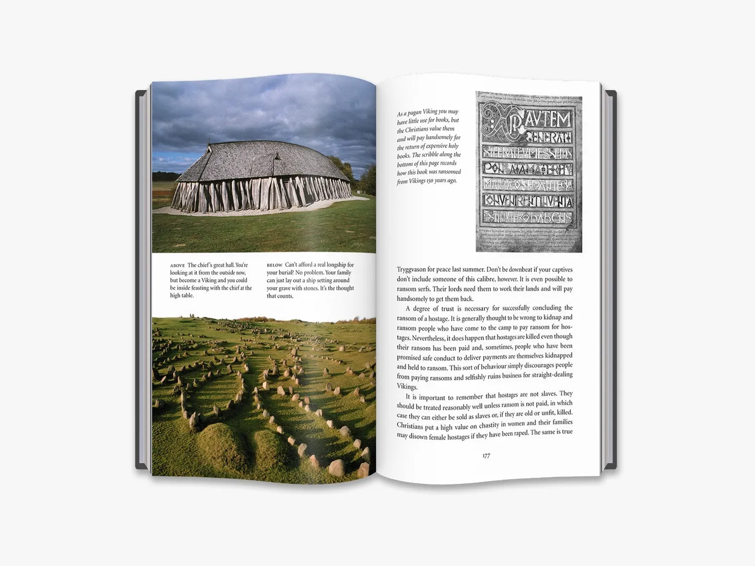 Thames & Hudson Viking læsebog – bliv vikingekriger