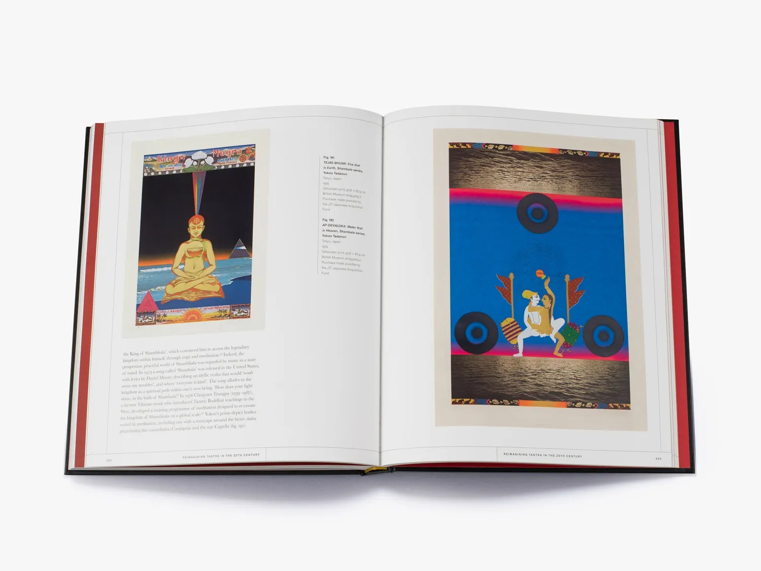 Thames & Hudson Tantra fagbog gudindekraft