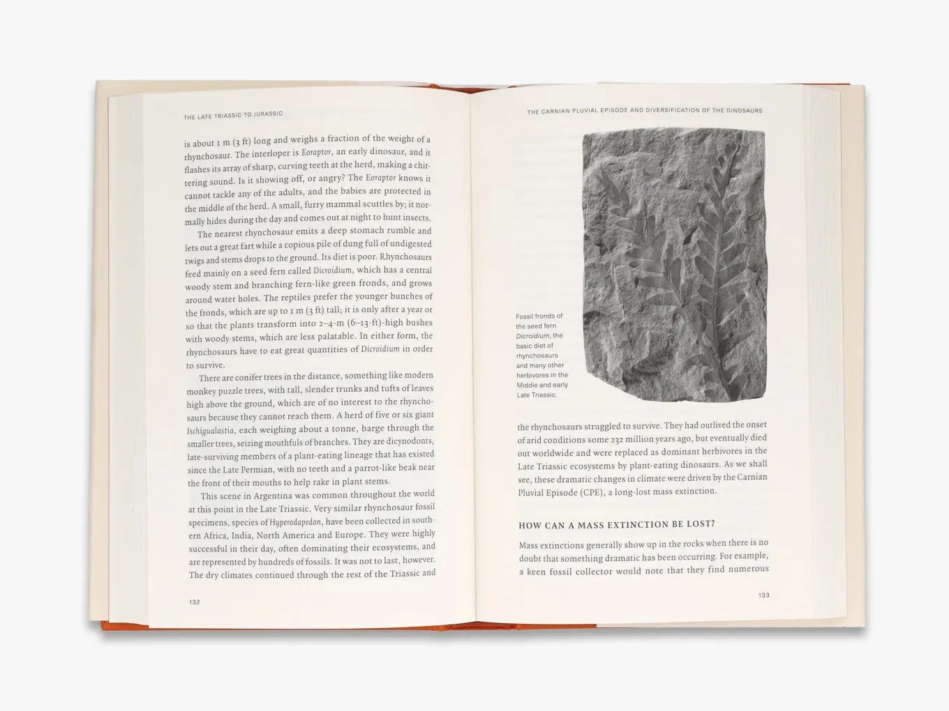 Thames & Hudson Extinctions naturhistorie fagbog