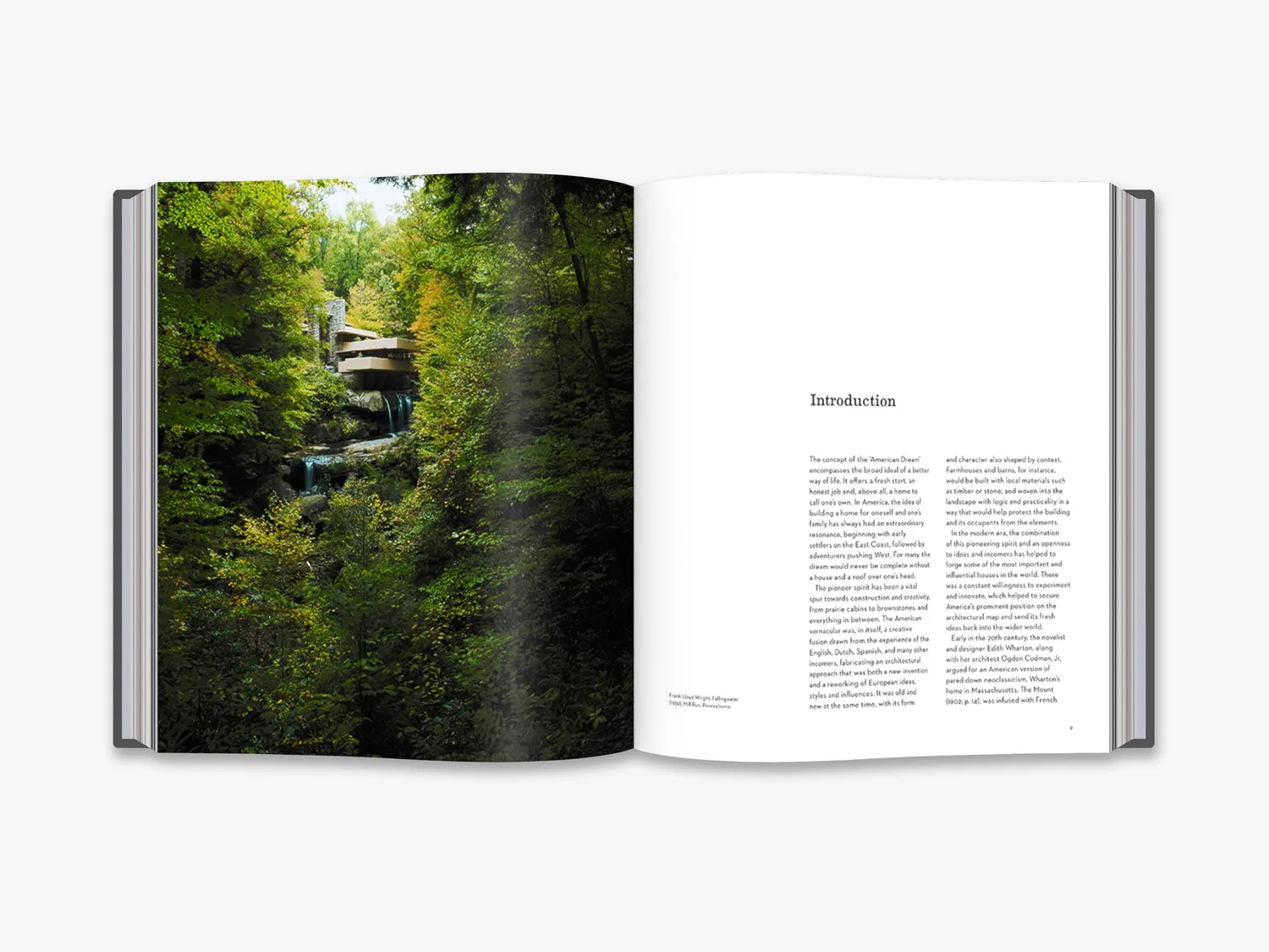 Thames & Hudson The Iconic American House arkitekturbog