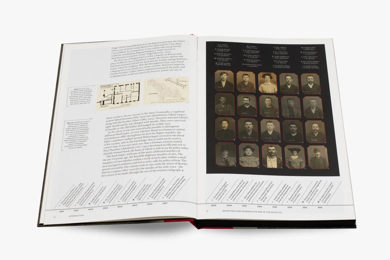 Thames & Hudson Murder Maps bog true crime 1800-tallet