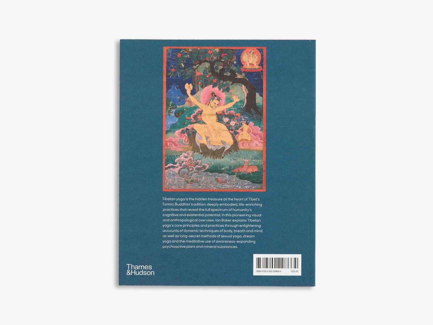 Thames & Hudson Tibetan Yoga Ian Baker bog