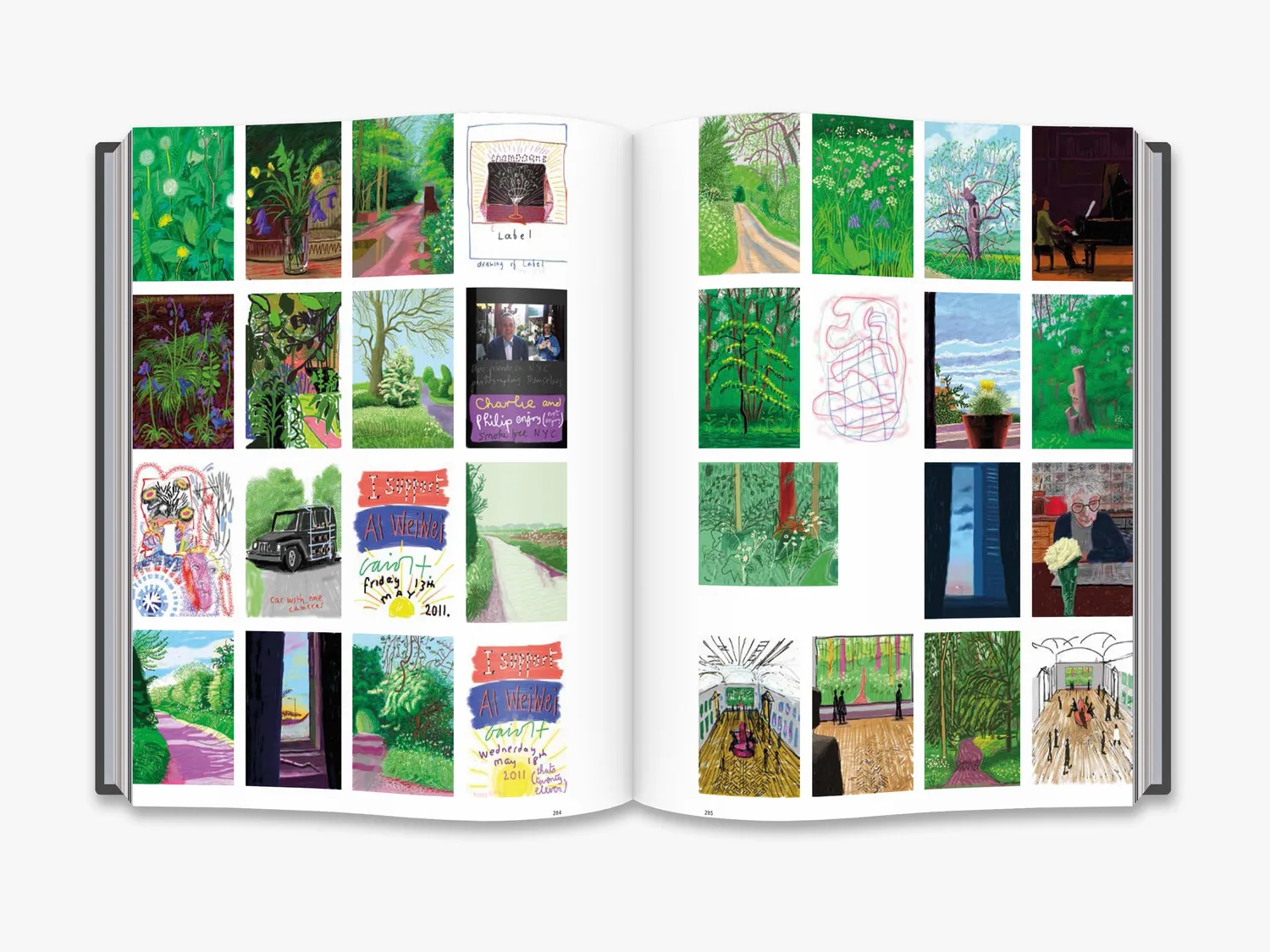 Thames & Hudson David Hockney: Current kunstbog
