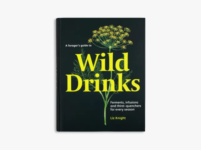 Thames & Hudson A Forager's Guide to Wild Drinks kogebog
