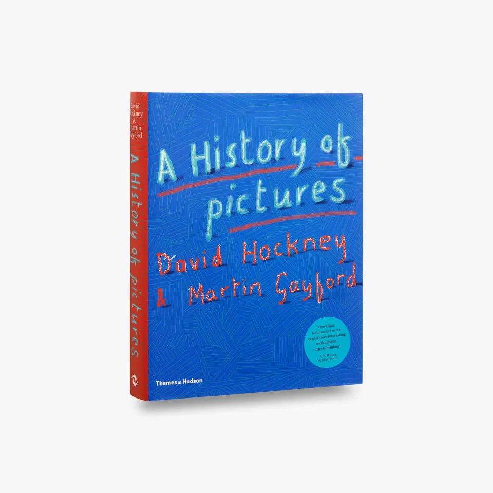 Thames & Hudson A History of Pictures bog Hockney Gayford