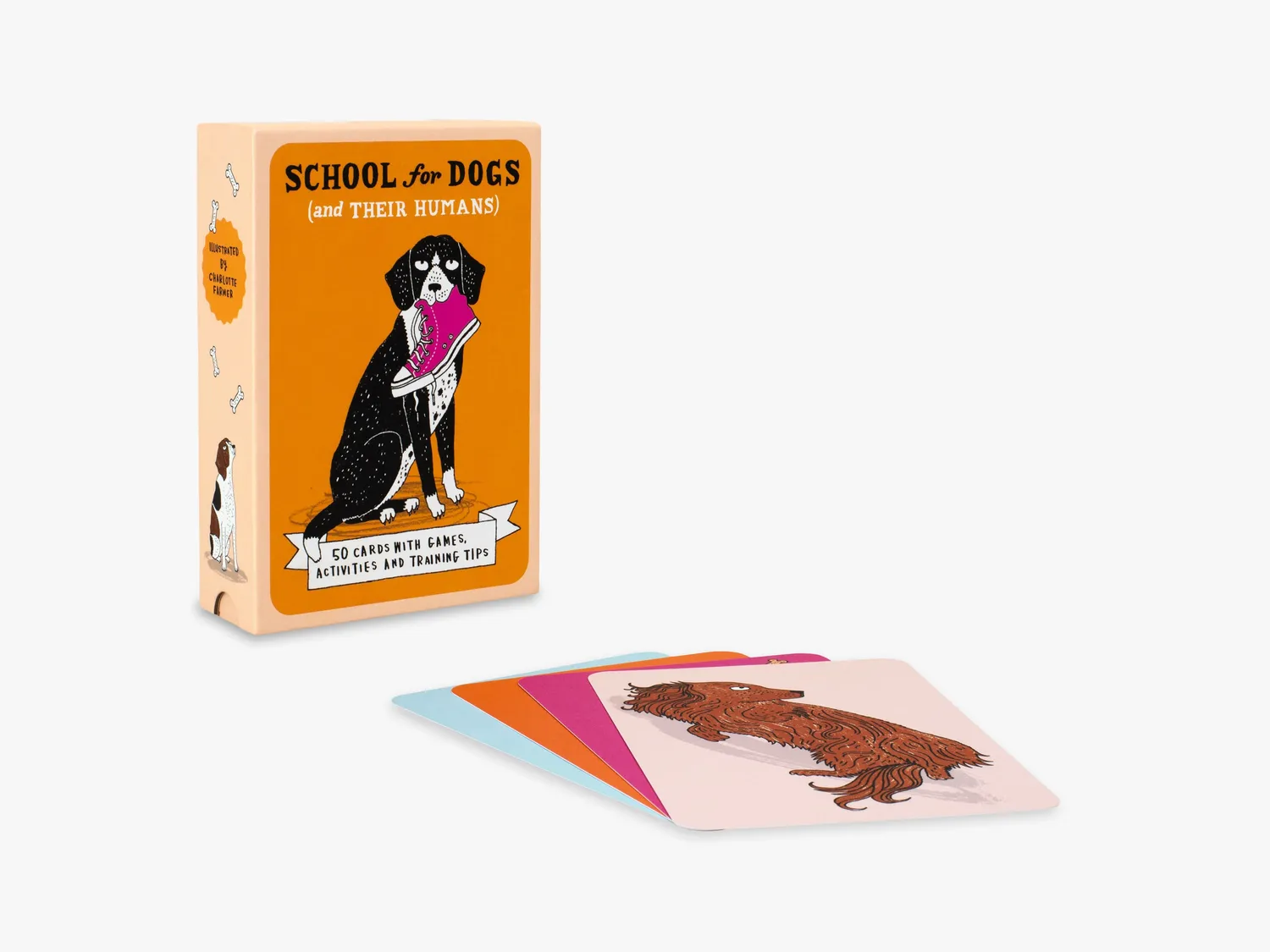 Thames & Hudson School For Dogs kortæske – træning