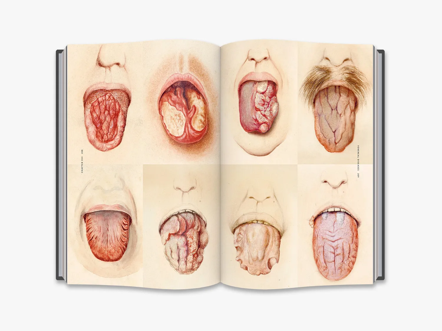 Thames & Hudson The Sick Rose bog medicinhistorie