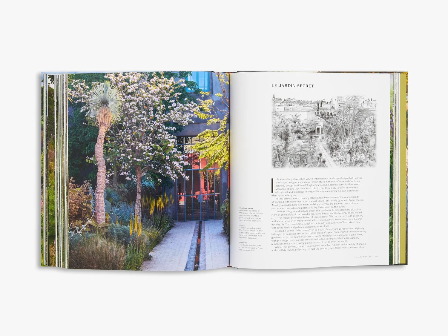 Thames & Hudson Tom Stuart-Smith havebog landskab