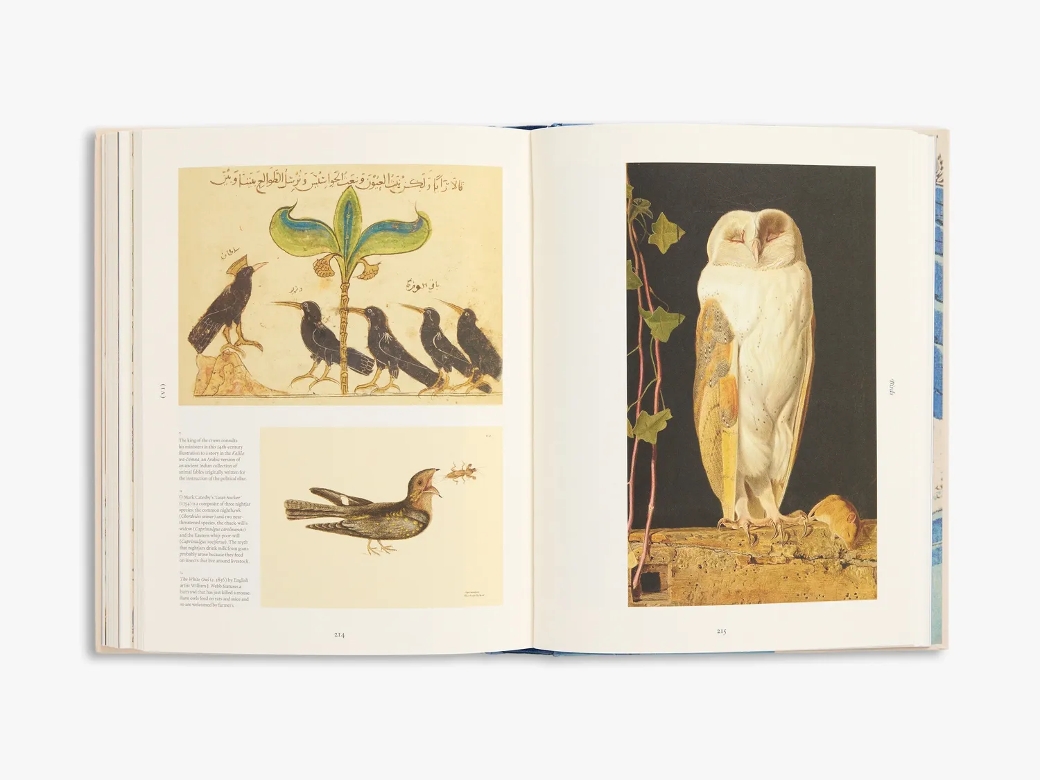 Thames & Hudson Ark billedbog om natur og arter