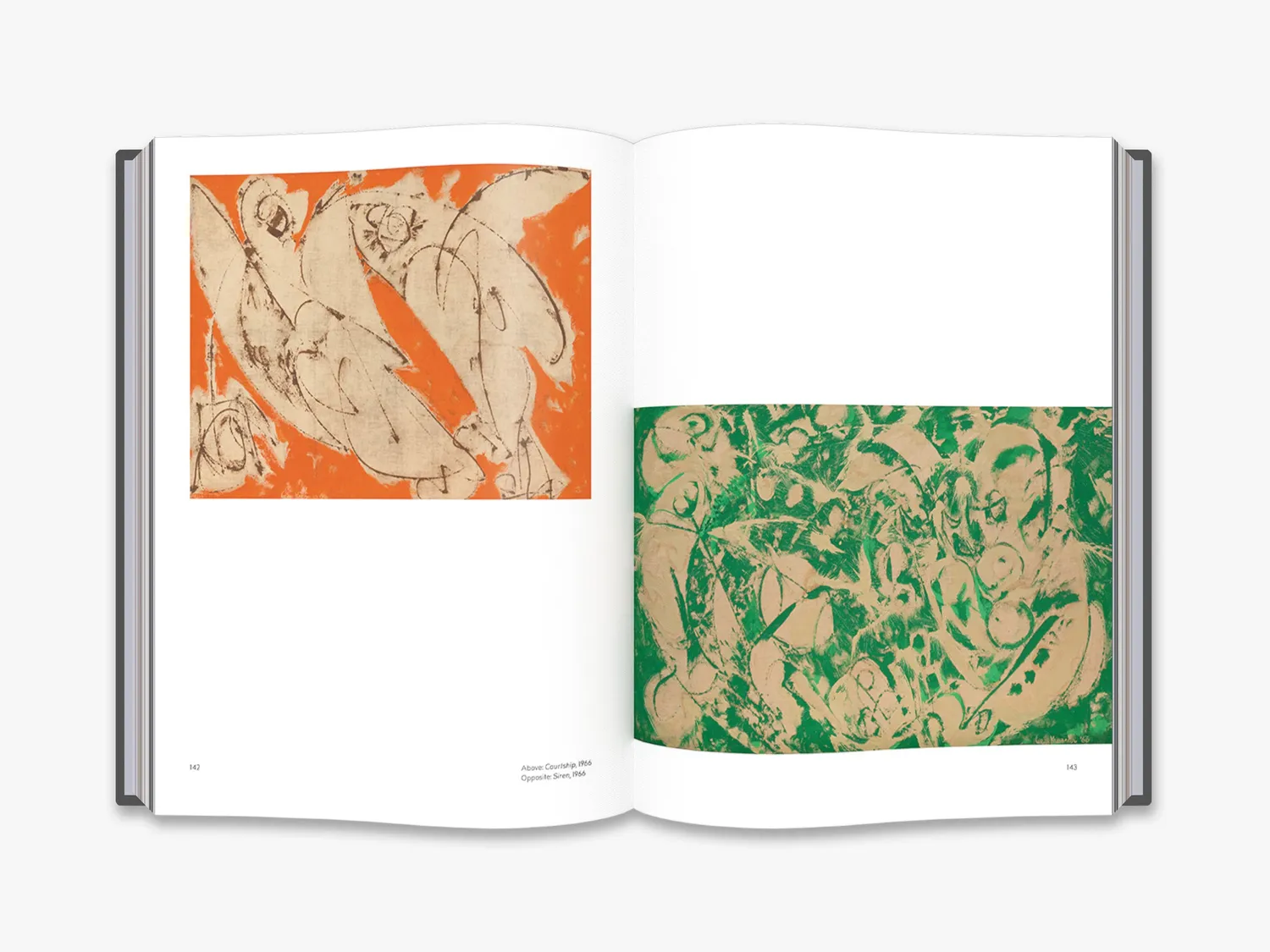 Thames & Hudson Lee Krasner kunstbog monografi